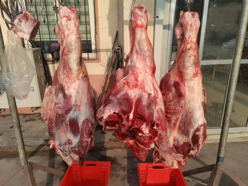 【实力推荐】纯黄公牛牛腿肉可视频看货对接全国品质保证