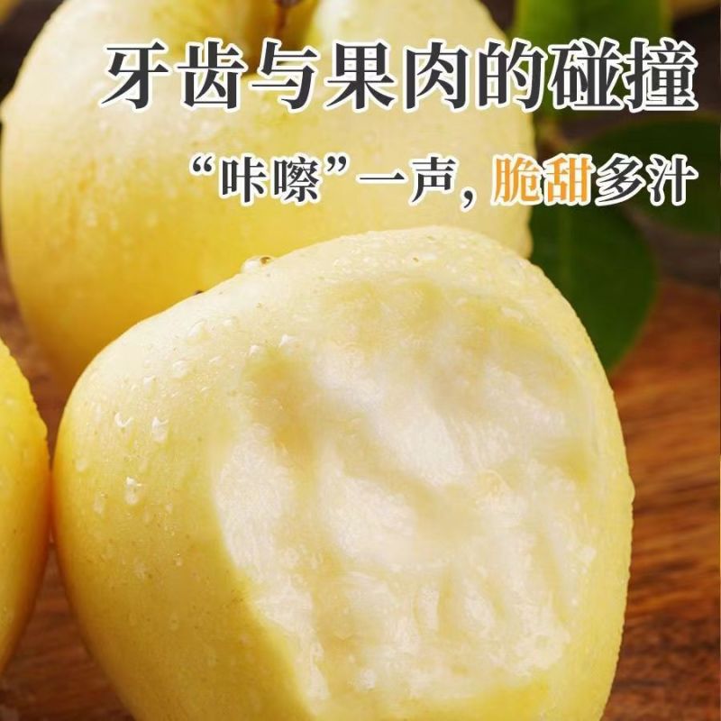 【热】维纳斯黄金苹果产地直发质量高价格低对接全国诚信经营