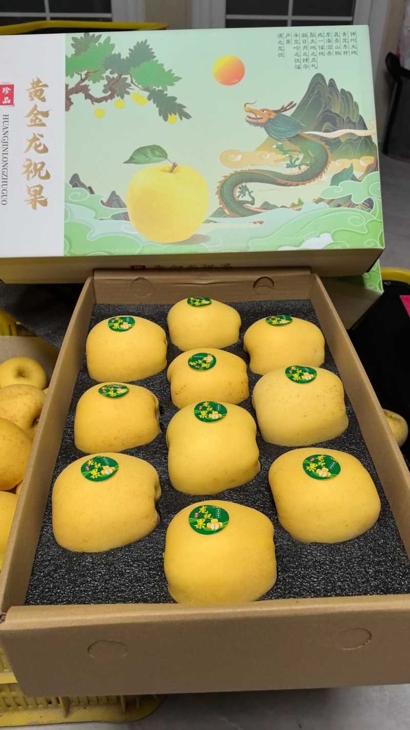 【热】维纳斯黄金苹果产地直发质量高价格低对接全国诚信经营