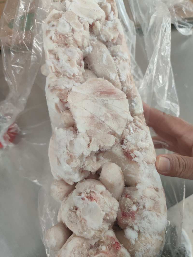 标猪精修短尾