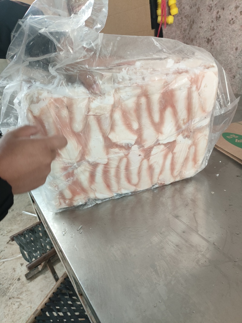标猪精修短尾