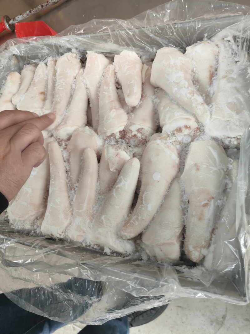标猪精修短尾