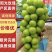 运城阳光玫瑰量大从优诚信经营