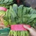 菠菜