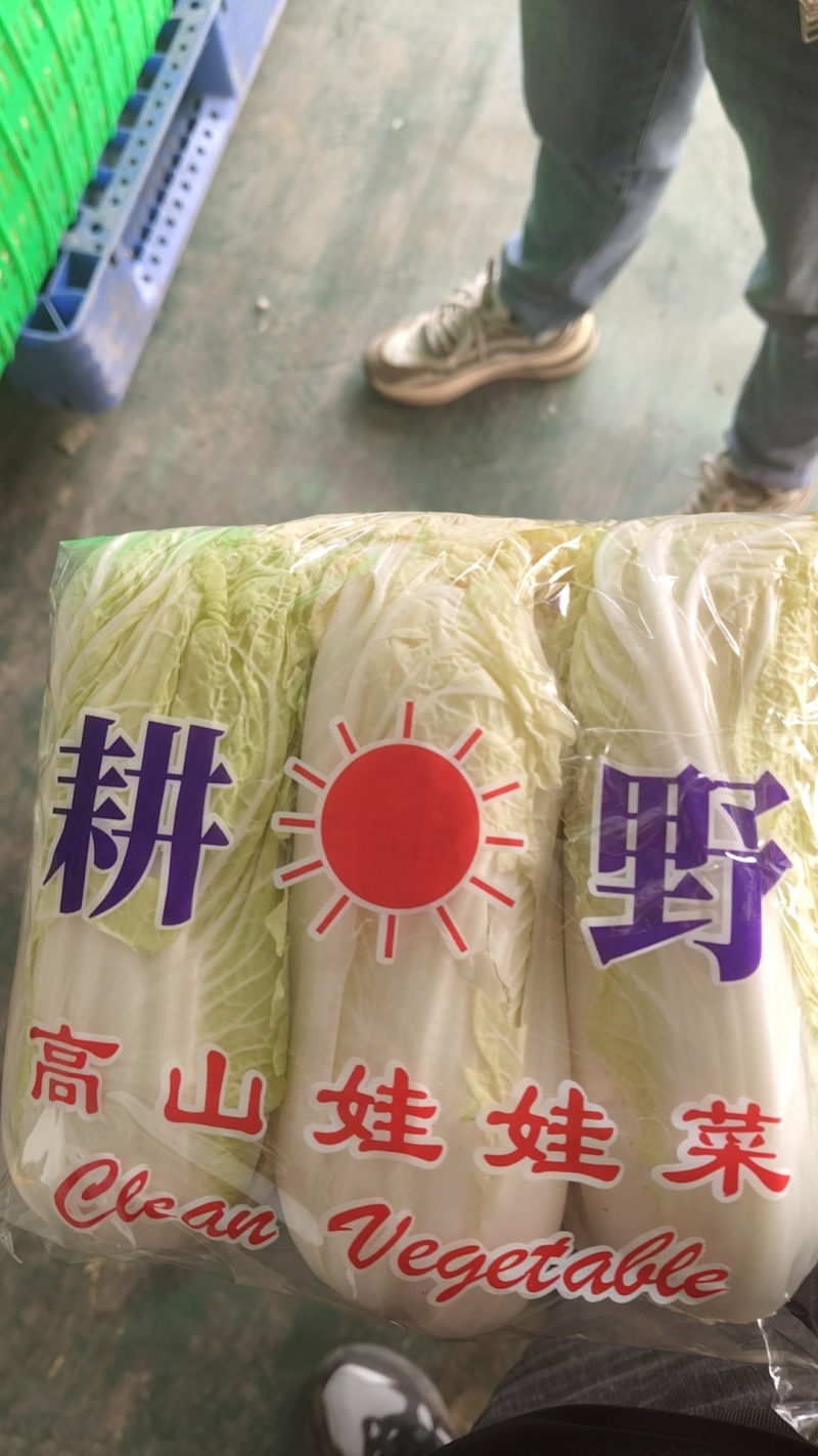 精品娃娃菜