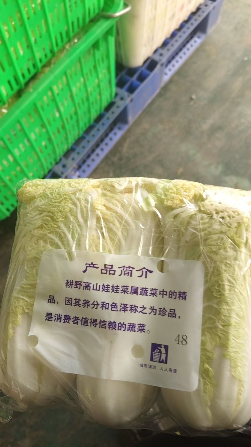 精品娃娃菜