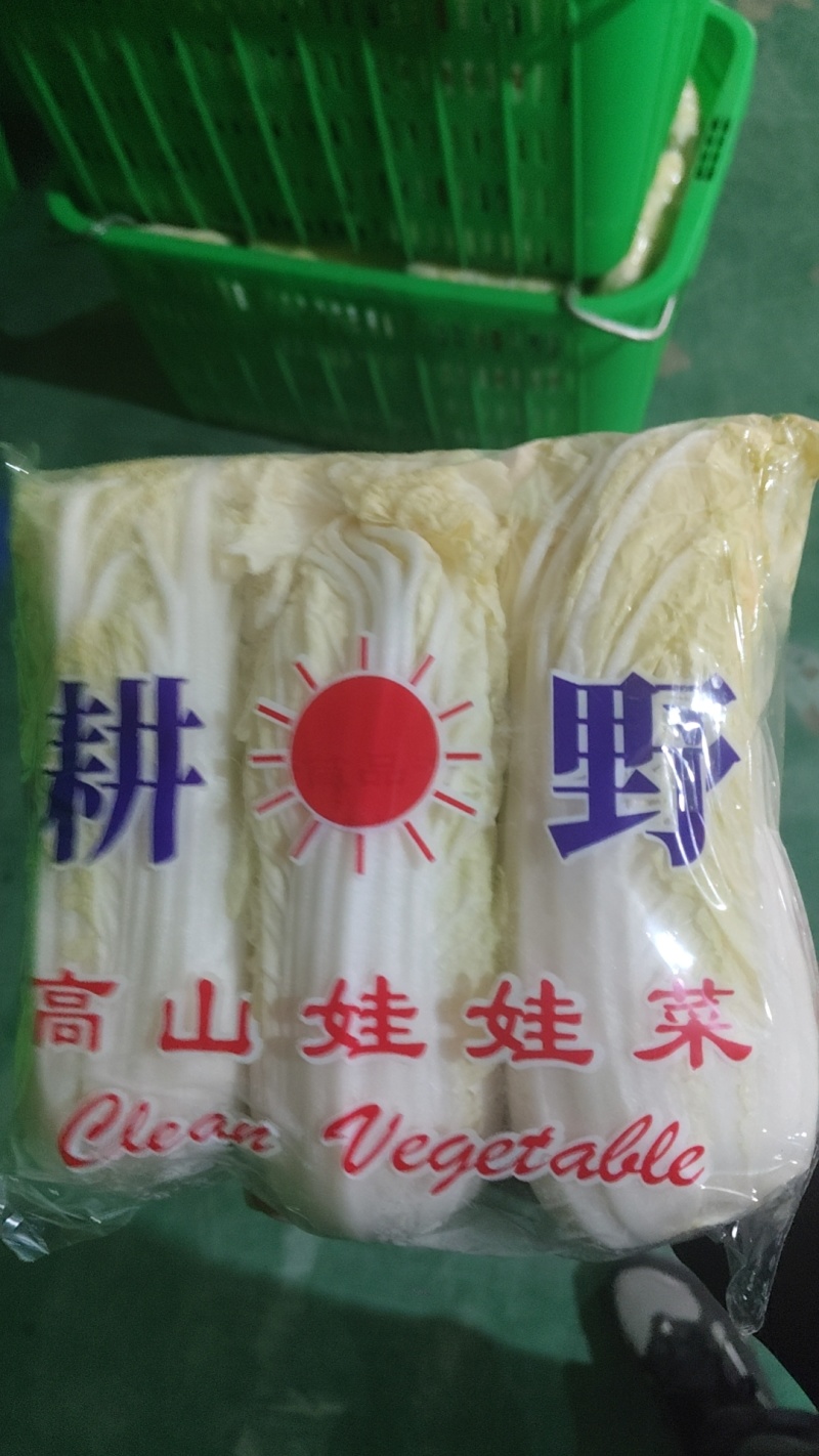 精品娃娃菜
