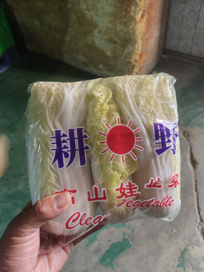 精品娃娃菜