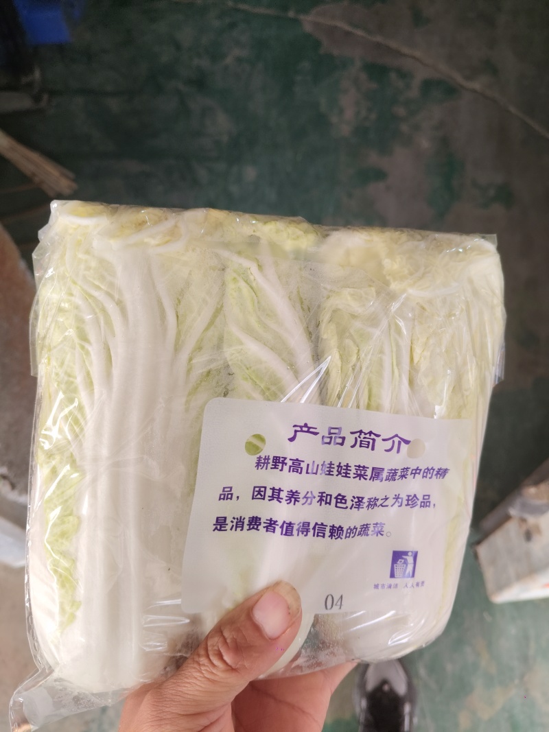 精品娃娃菜