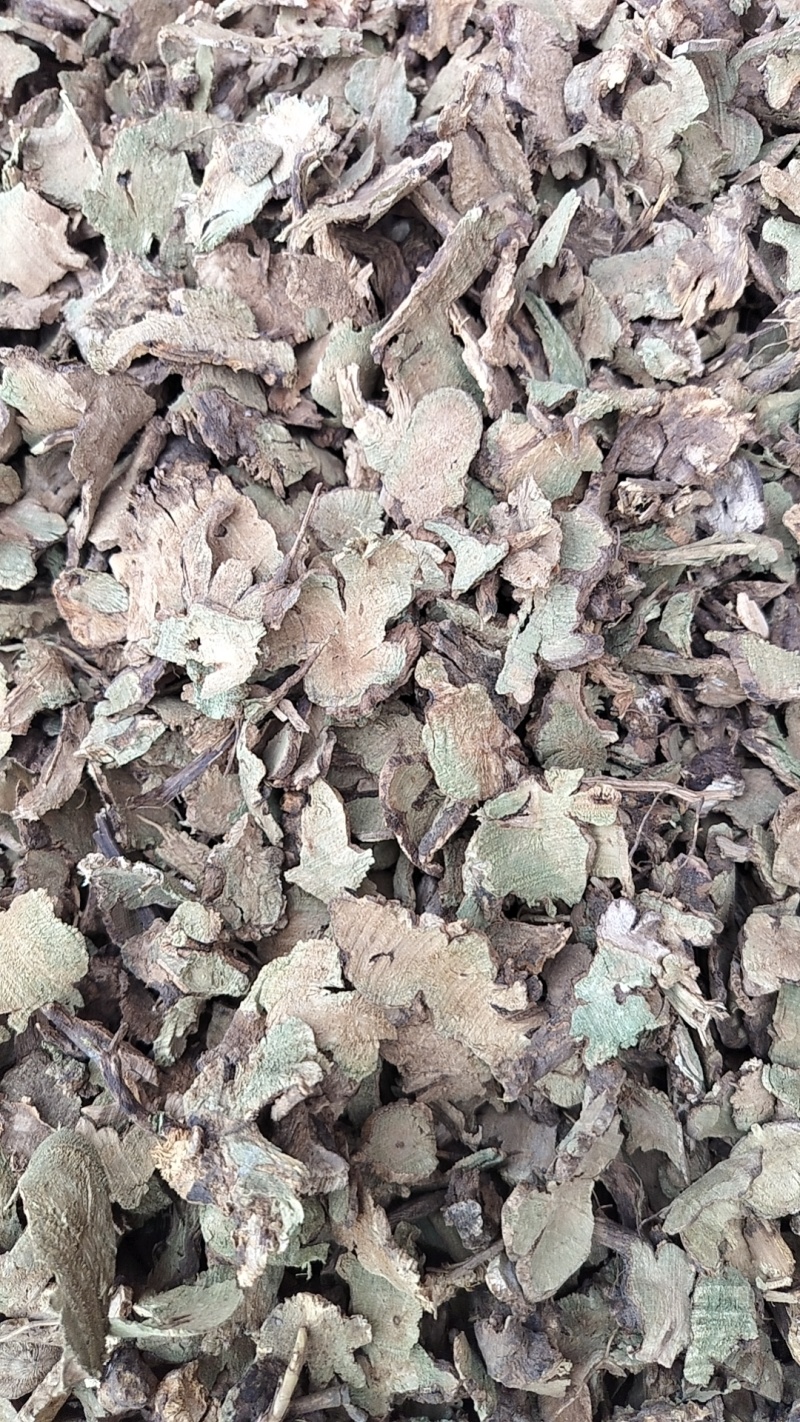 产地一手货源常年大货供应香茶菜根
