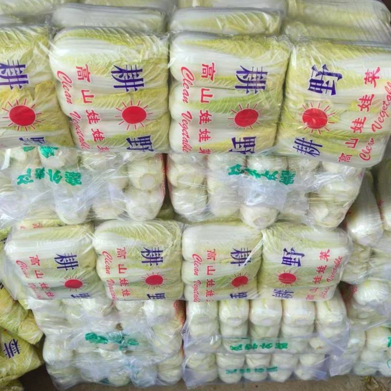 湖北宜城精品娃娃菜，大量供应中，价格不高，质量保证！！