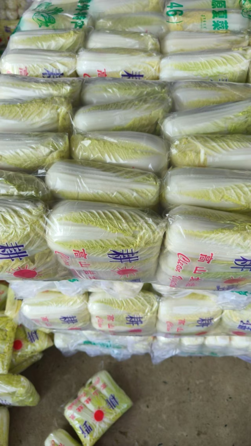 湖北宜城精品娃娃菜，大量供应中，价格不高，质量保证！！