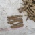 泡桐根保证发芽率成年基地现挖现发成活高保证正品量大优惠