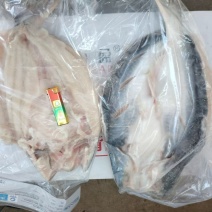 腌制反骨开背巴沙鱼/厂家直发/保质保量/欢迎咨询