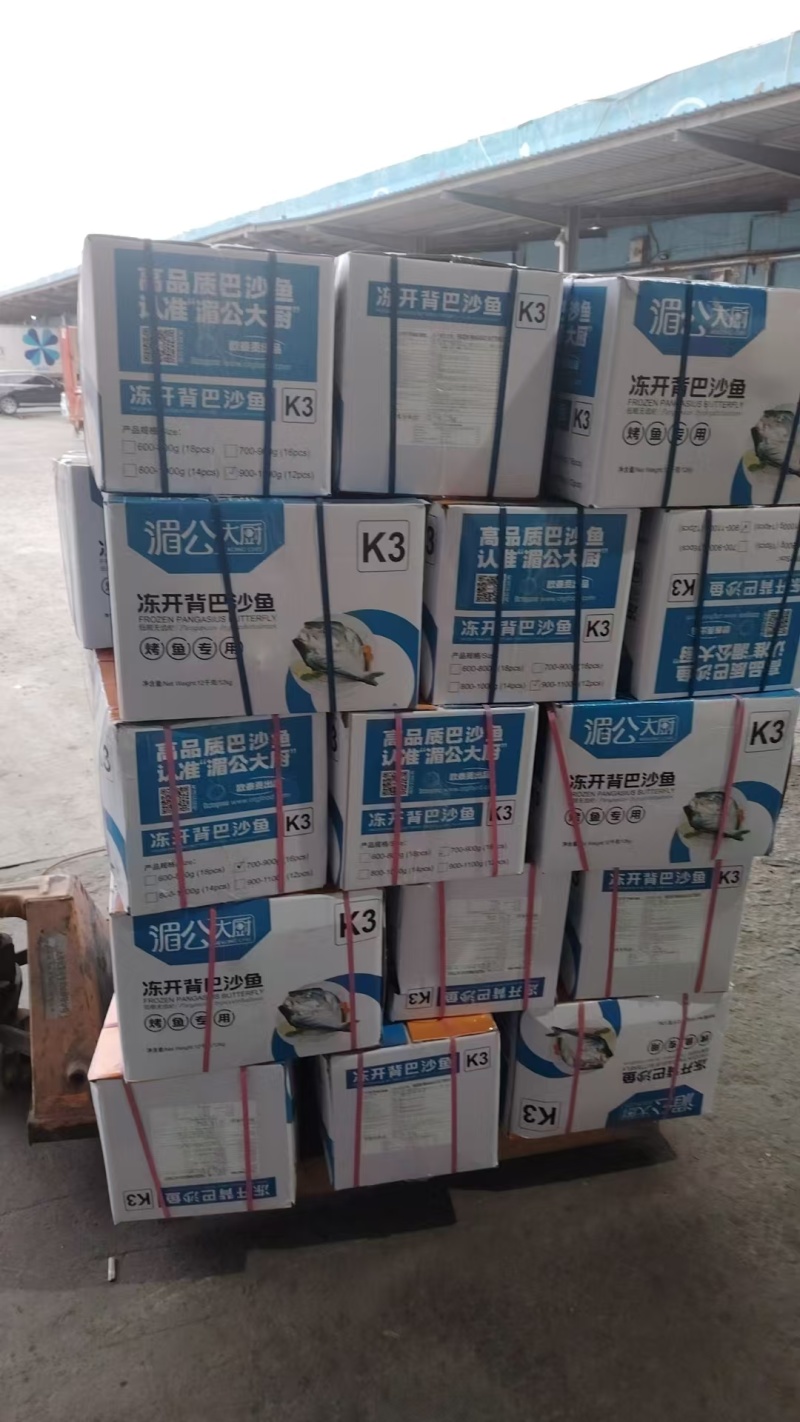 腌制反骨开背巴沙鱼/厂家直发/保质保量/欢迎咨询