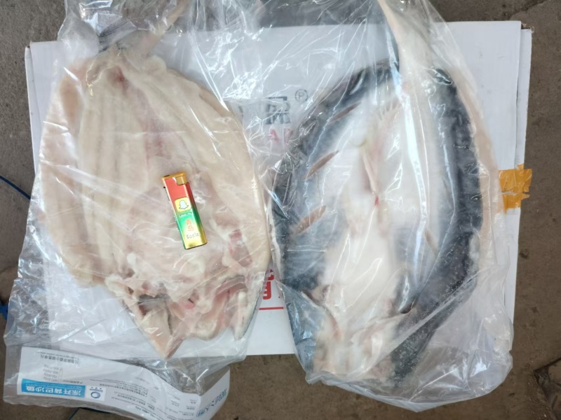 腌制反骨开背巴沙鱼/厂家直发/保质保量/欢迎咨询