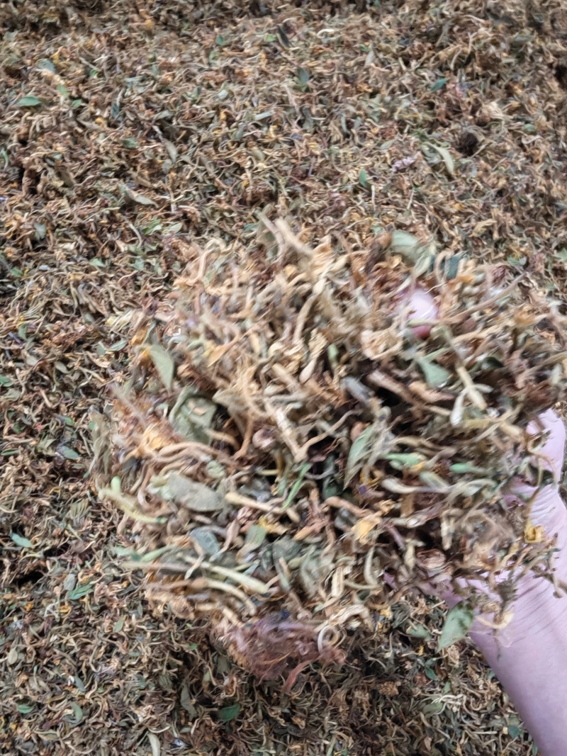 金银花统货，药厂批发，入药泡澡