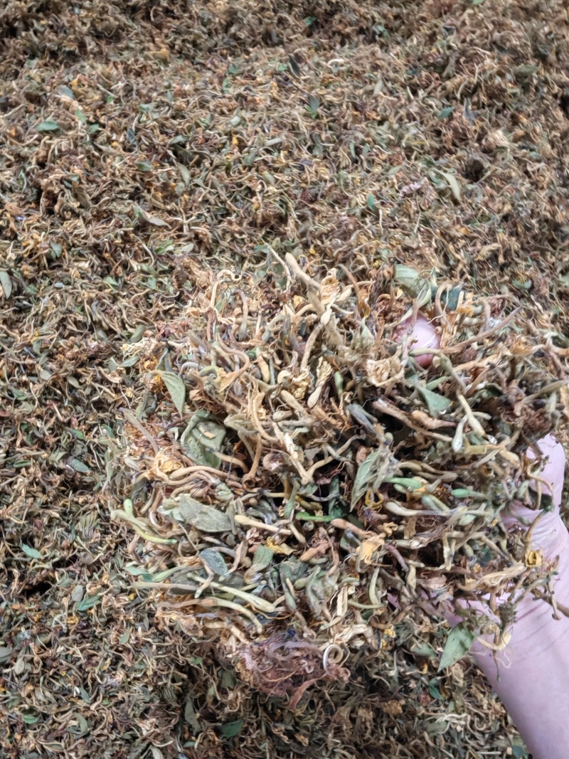 金银花统货，药厂批发，入药泡澡