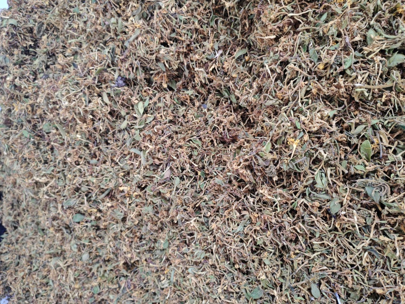 金银花统货，药厂批发，入药泡澡