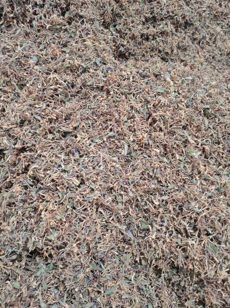 金银花统货，药厂批发，入药泡澡