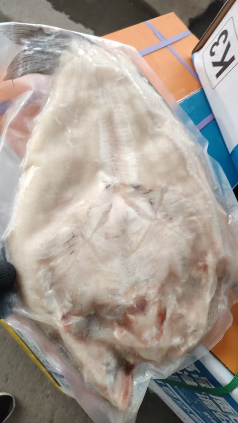 腌制反骨开背清江鱼/厂家直发/保质保量/欢迎咨询
