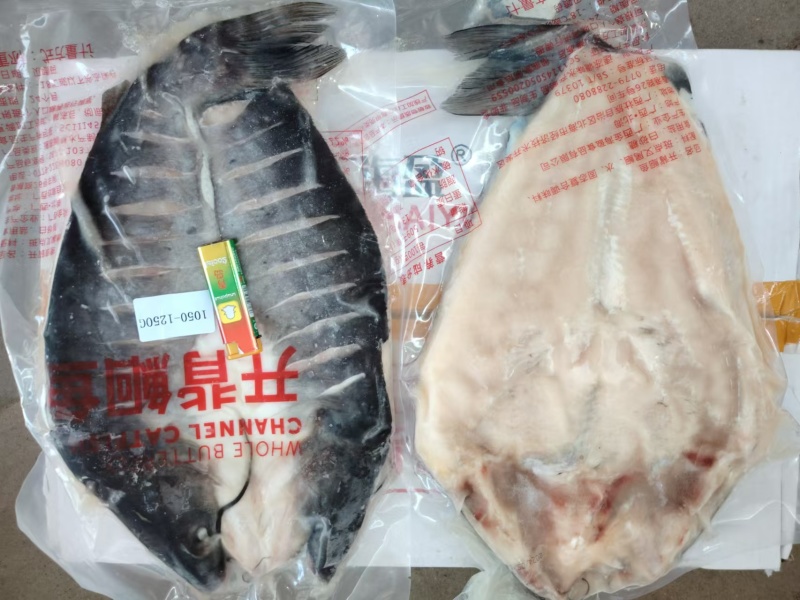 腌制反骨开背清江鱼/厂家直发/保质保量/欢迎咨询