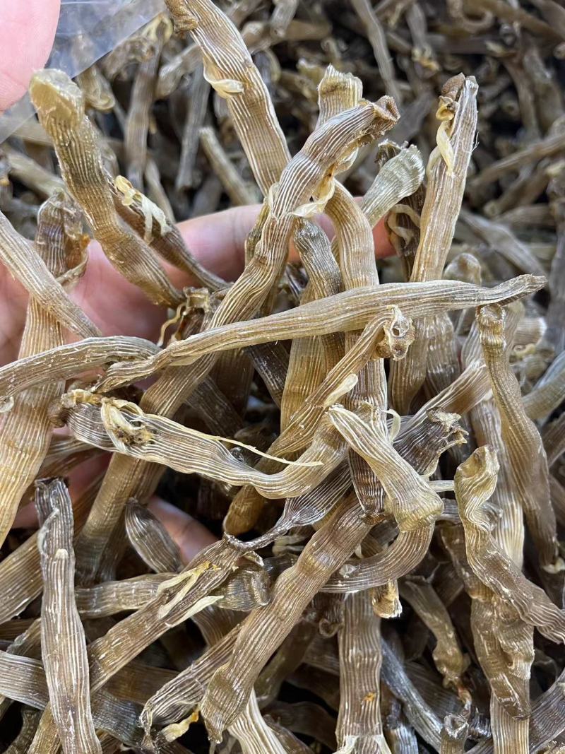 【优选】北海沙虫/一手货源/保质保量/欢迎咨询