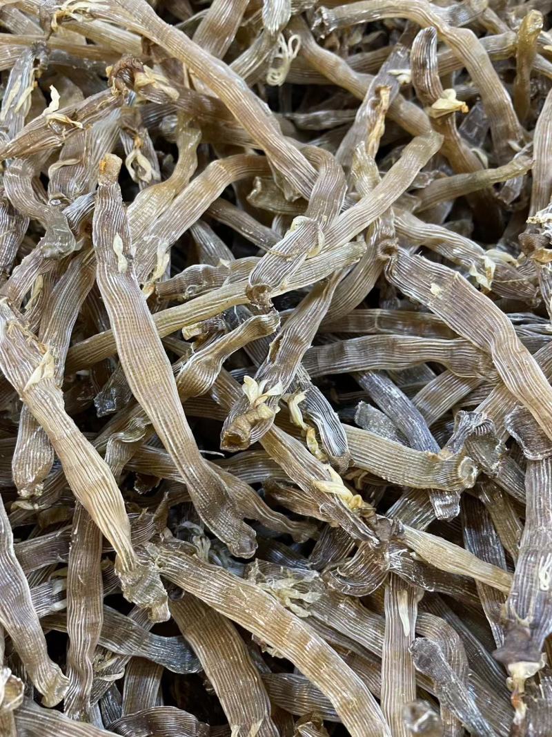 【优选】北海沙虫/一手货源/保质保量/欢迎咨询