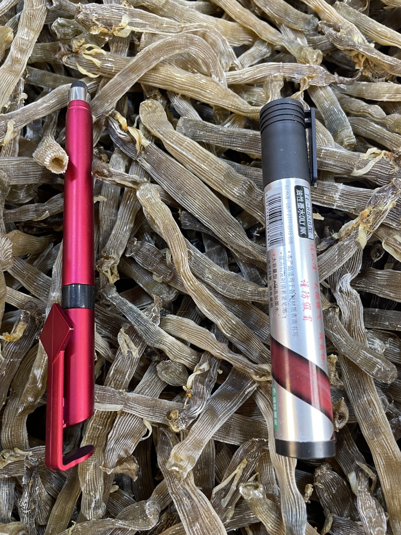 【优选】北海沙虫/一手货源/保质保量/欢迎咨询