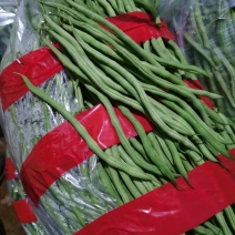 云南各大产区大量供应无筋豆小金豆四季豆大青豆