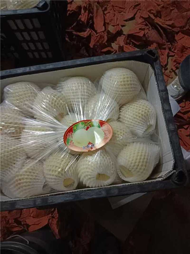 山西省平遥县酥梨产区直发保质保量供货