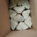【荷叶】水果荷叶，可做饭店用支持一件代发包邮
