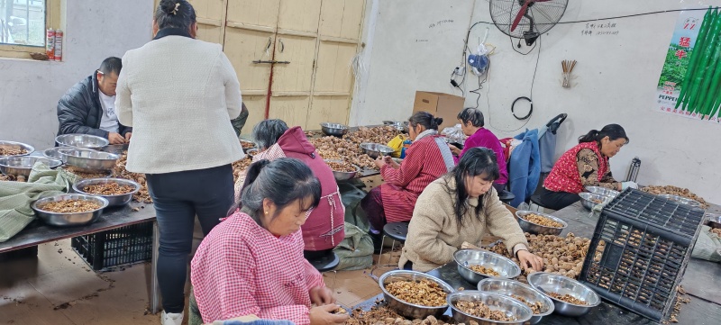 新疆核桃仁