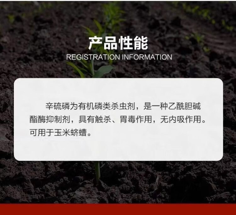 岷江3%辛硫磷地虫光颗粒剂地下害虫蛴螬地老虎金针虫撒施