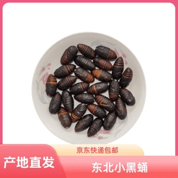 东北特产柞蚕蛹鲜活发货聚划算