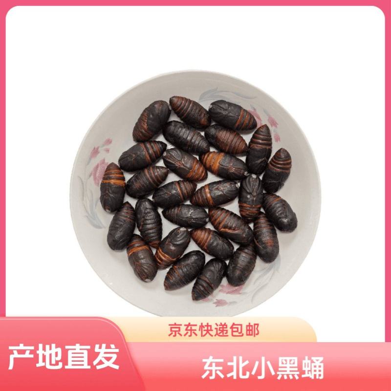 东北特产柞蚕蛹鲜活发货聚划算