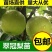 四川翠冠梨树苗，早熟，皮薄，多汁甜包成活，包邮送生根剂