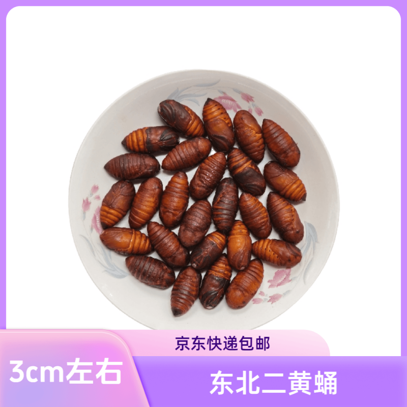 东北特产柞蚕蛹鲜活发货聚划算