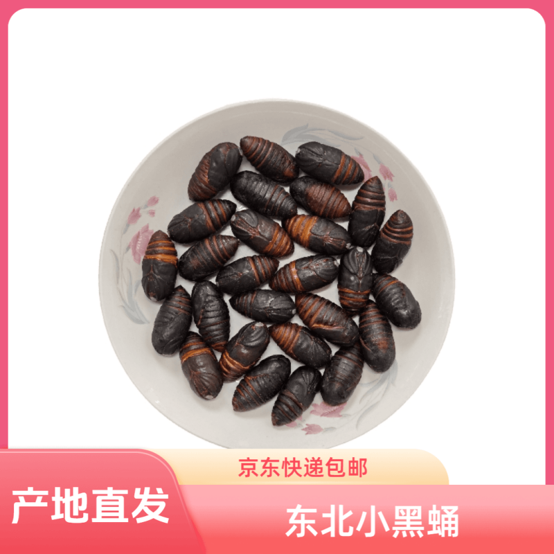 东北特产柞蚕蛹鲜活发货聚划算