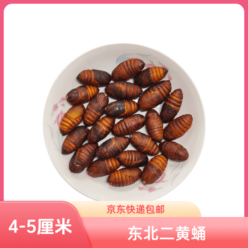 东北特产柞蚕蛹鲜活发货聚划算
