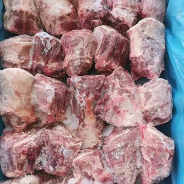 精品羔羊脖大量供应，货源充足，量大从优，新鲜发货。