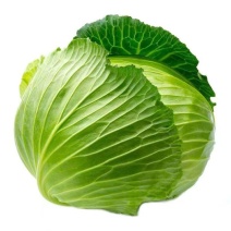 湖南包菜/整车代发/质量三包/量大从优全国发货一手货源