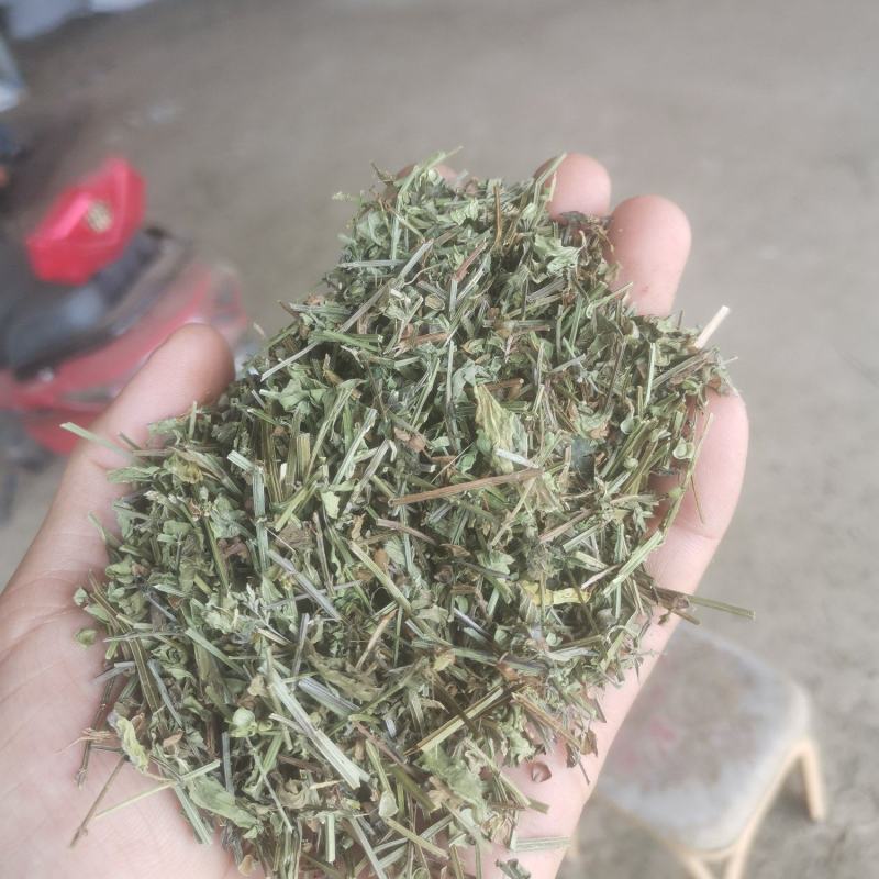 大量出售半枝莲片子