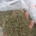 大量出售半枝莲片子