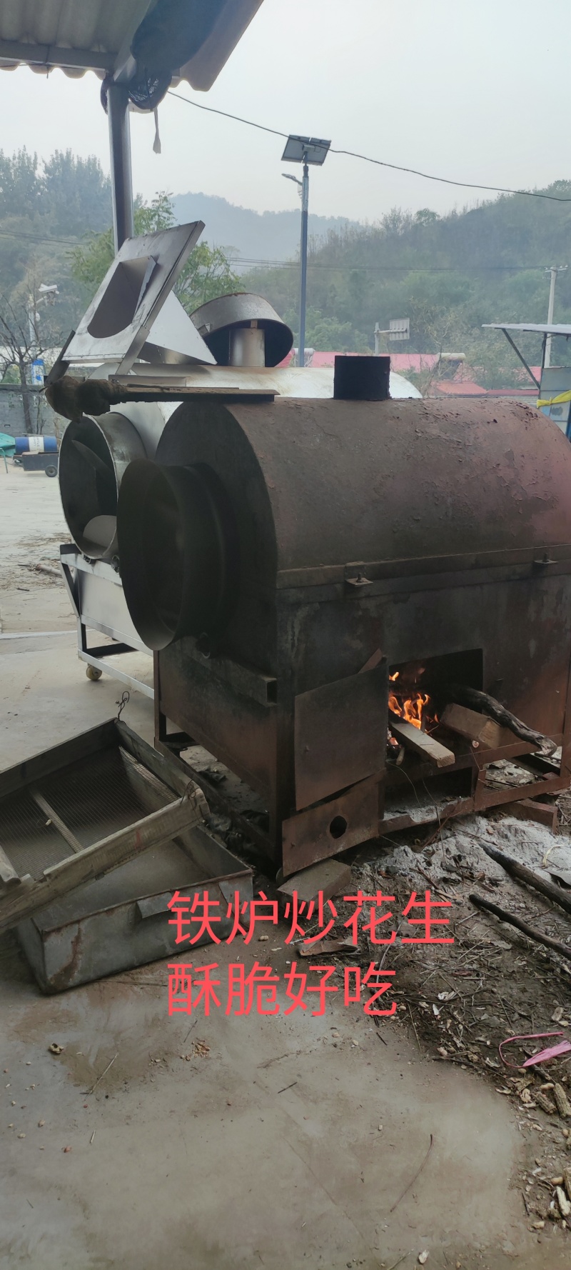 木柴炒花生天府三小日本支持电商一件代发