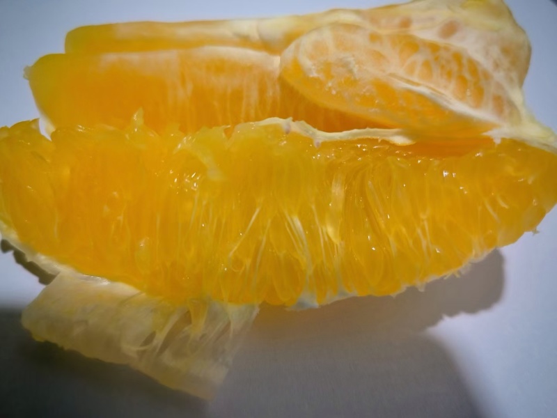 奉节脐橙，长虹，圆红，72-1脐橙