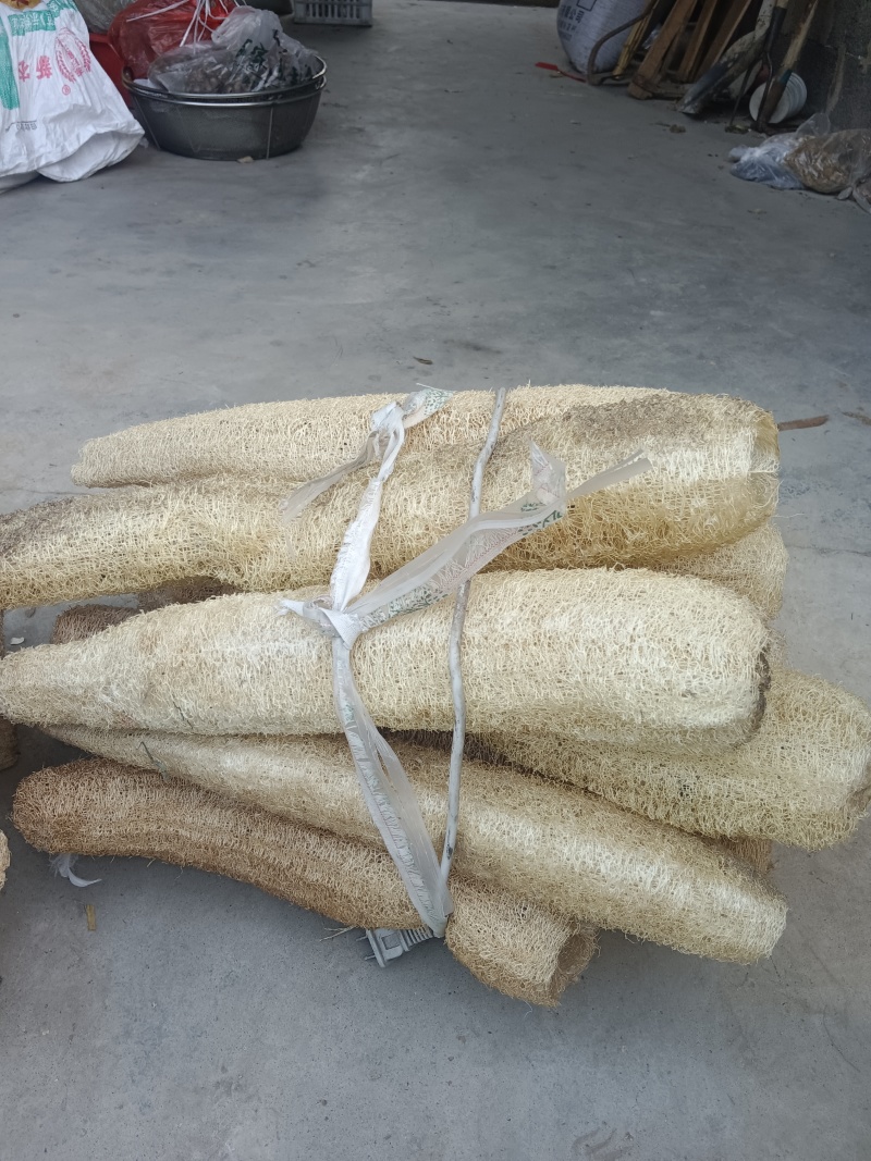 丝瓜络山东临沂的