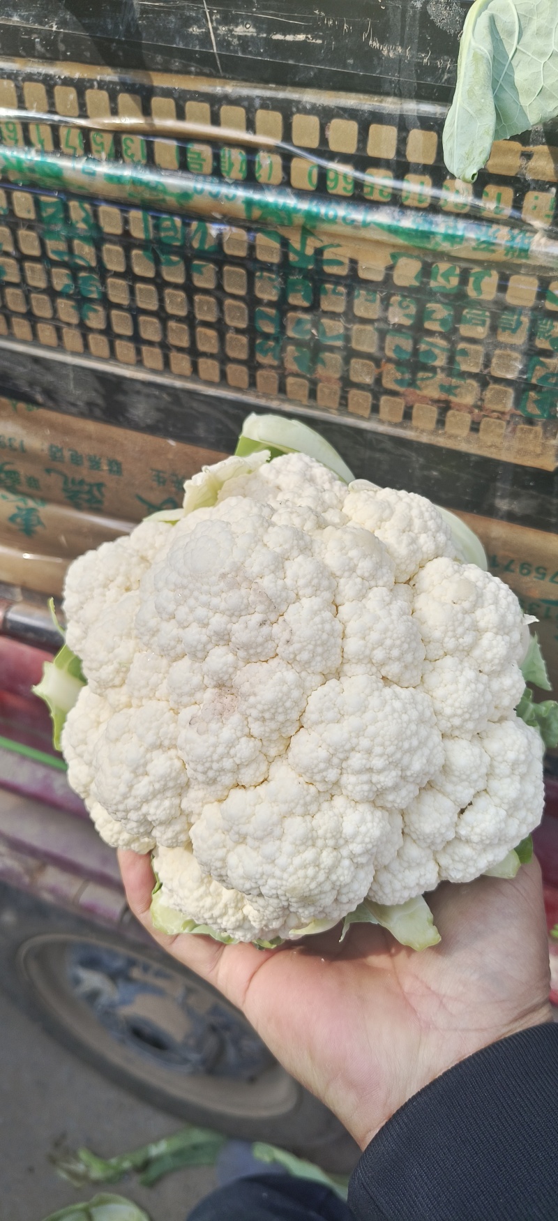 有机菜花，精品质量，价格优惠，一条龙服务