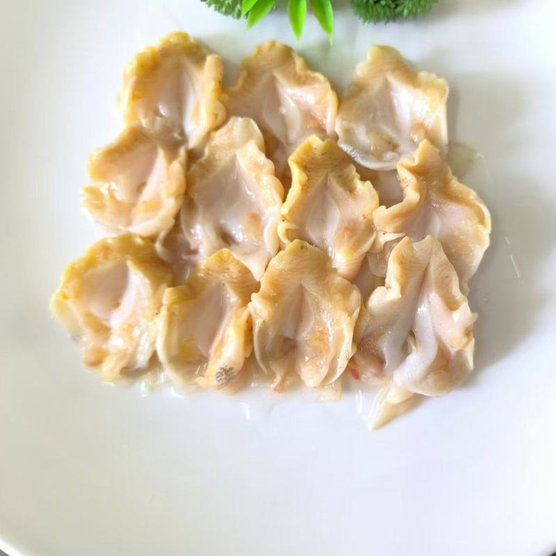 开片白螺肉精加工海螺头翡翠螺宴席炖盅试菜400g