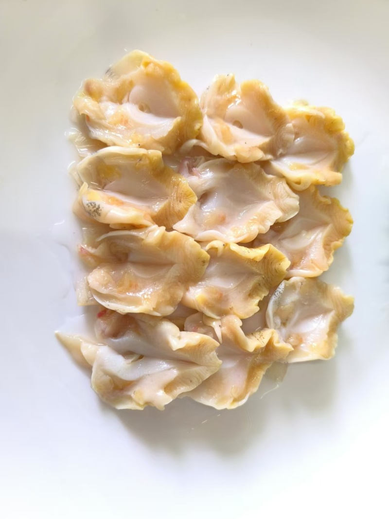 开片白螺肉精加工海螺头翡翠螺宴席炖盅试菜400g